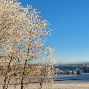 Aroma Klang Meditation Winterzauber